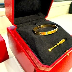 Cartier love bracelet